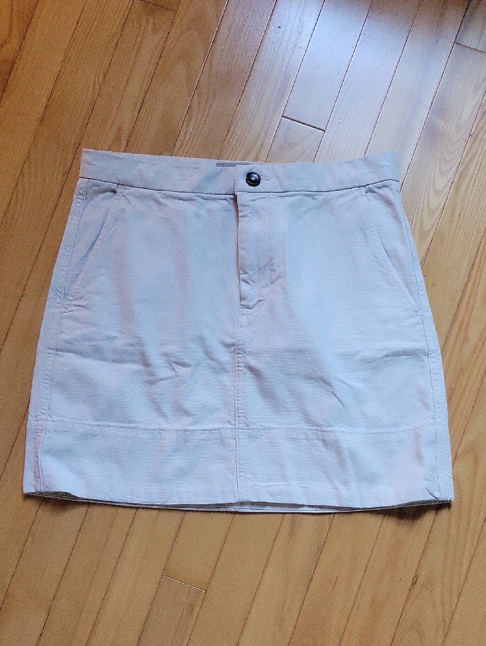 Everlane Canvas Mini Skirt